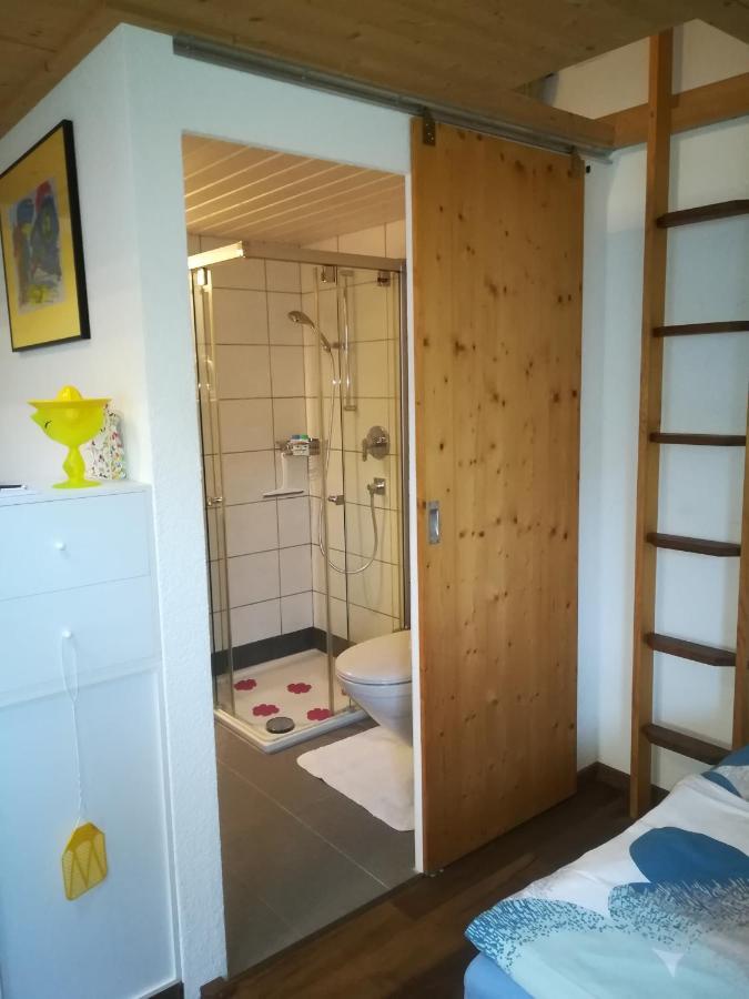Montanara Apartamento Meiringen Exterior foto