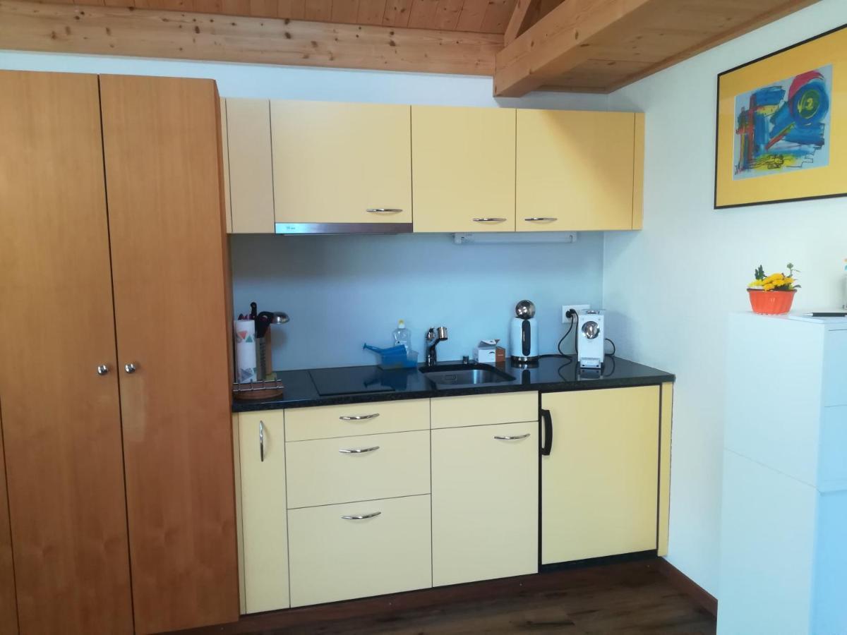 Montanara Apartamento Meiringen Exterior foto